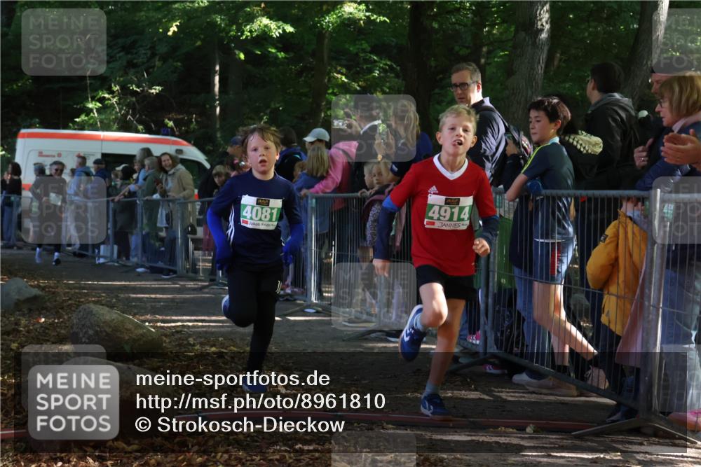 28.09.2025 - 33. Volkslauf durch das schöne Alstertal Strokosch-Dieckow http://msf.ph/oto/8961810 28.09.2025 10:56:42 Ziel 4065, 4069, 4081, 4914 meine-sportfotos.de
