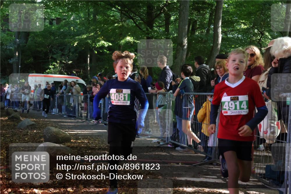 28.09.2025 - 33. Volkslauf durch das schöne Alstertal Strokosch-Dieckow http://msf.ph/oto/8961823 28.09.2025 10:56:42 Ziel 4065, 4069, 4081, 4914 meine-sportfotos.de