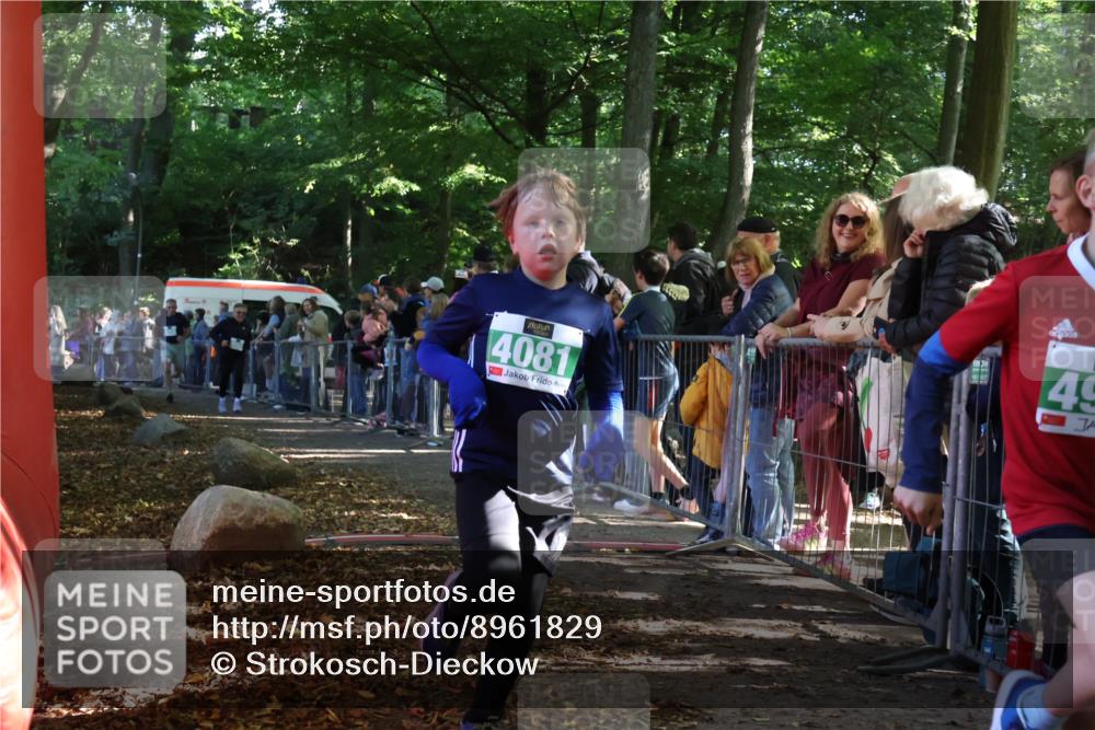 28.09.2025 - 33. Volkslauf durch das schöne Alstertal Strokosch-Dieckow http://msf.ph/oto/8961829 28.09.2025 10:56:43 Ziel 4065, 4069, 4081, 4914 meine-sportfotos.de