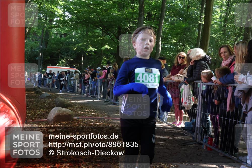 28.09.2025 - 33. Volkslauf durch das schöne Alstertal Strokosch-Dieckow http://msf.ph/oto/8961835 28.09.2025 10:56:43 Ziel 4065, 4069, 4081, 4914 meine-sportfotos.de