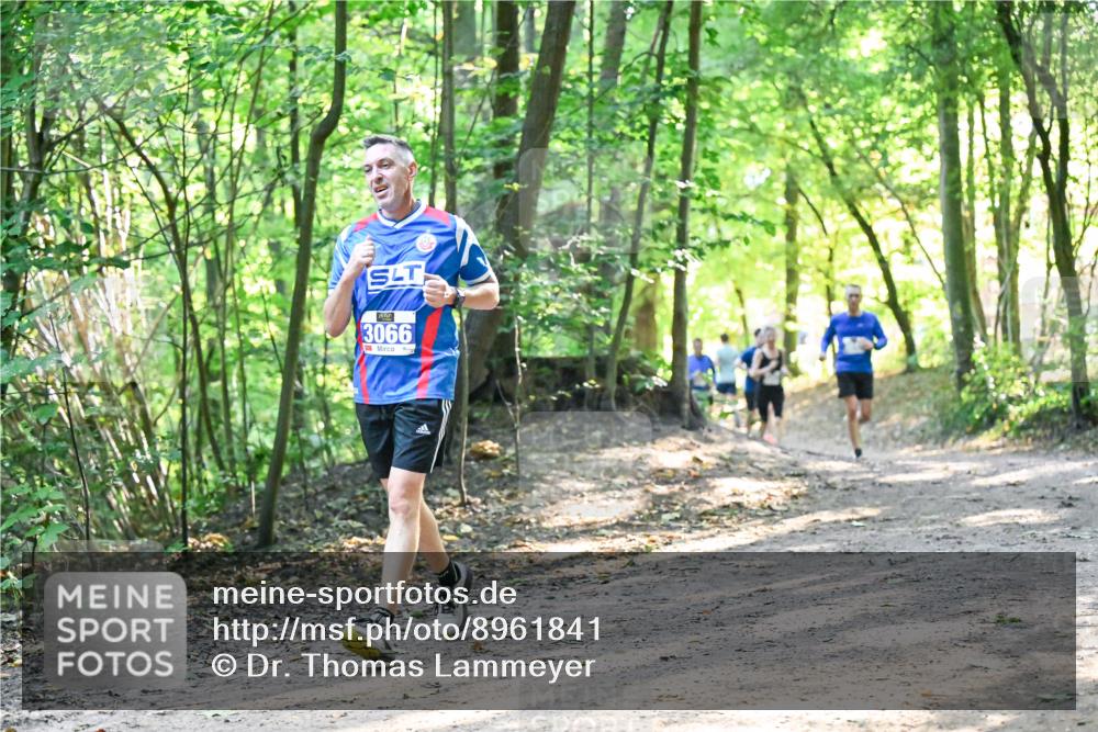 28.09.2025 - 33. Volkslauf durch das schöne Alstertal Dr. Thomas Lammeyer http://msf.ph/oto/8961841 28.09.2025 11:08:39 Laufen 3066 meine-sportfotos.de