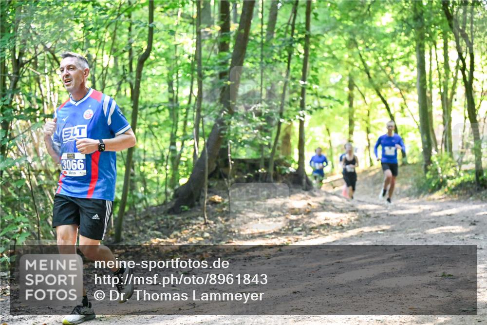 28.09.2025 - 33. Volkslauf durch das schöne Alstertal Dr. Thomas Lammeyer http://msf.ph/oto/8961843 28.09.2025 11:08:40 Laufen 3066 meine-sportfotos.de