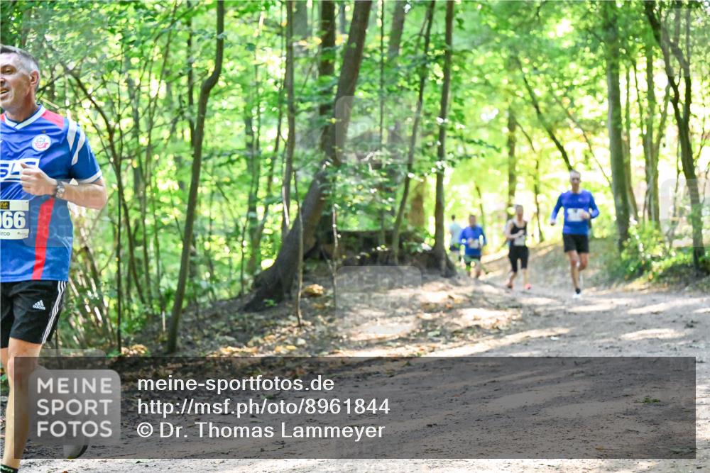 28.09.2025 - 33. Volkslauf durch das schöne Alstertal Dr. Thomas Lammeyer http://msf.ph/oto/8961844 28.09.2025 11:08:40 Laufen 166, 379 meine-sportfotos.de