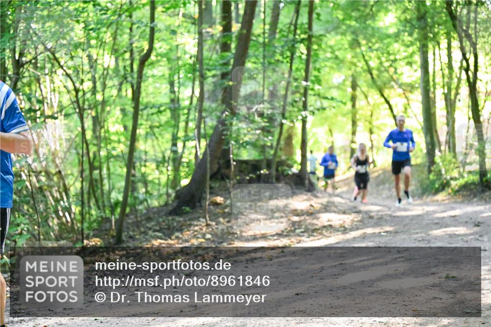 28.09.2025 - 33. Volkslauf durch das schöne Alstertal Dr. Thomas Lammeyer http://msf.ph/oto/8961846 28.09.2025 11:08:40 Laufen  meine-sportfotos.de