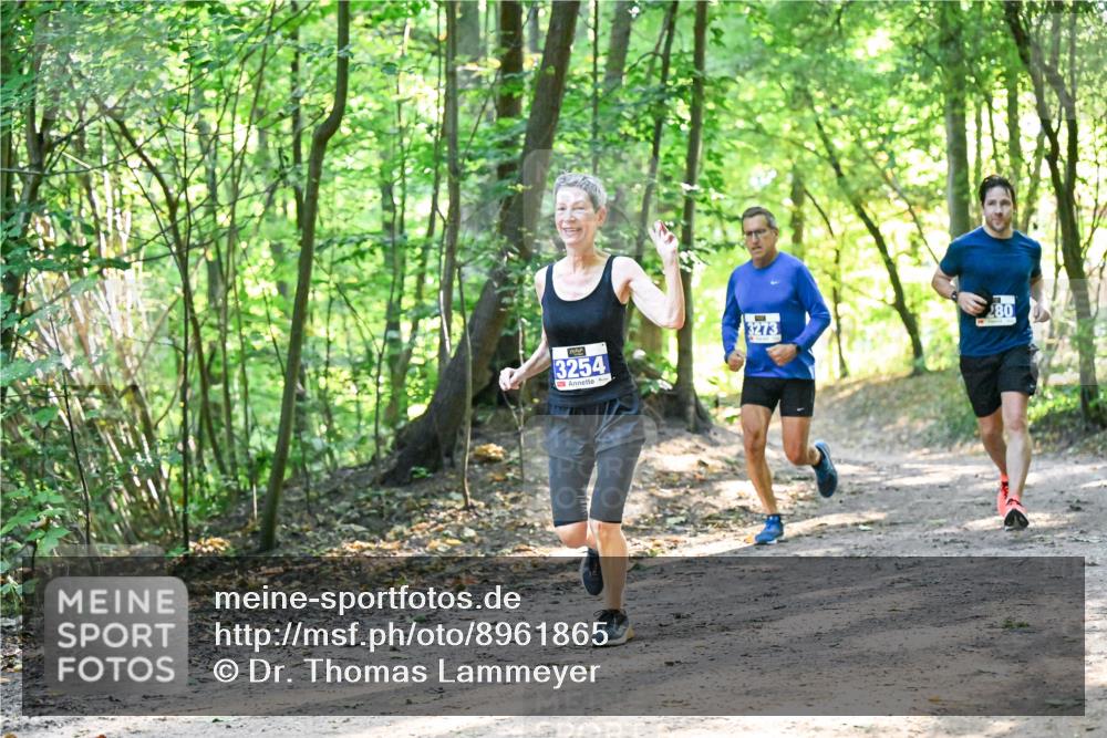 28.09.2025 - 33. Volkslauf durch das schöne Alstertal Dr. Thomas Lammeyer http://msf.ph/oto/8961865 28.09.2025 11:08:46 Laufen 3254, 3273, 280 meine-sportfotos.de