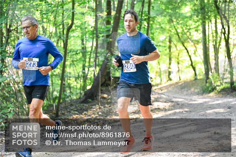 28.09.2025 - 33. Volkslauf durch das schöne Alstertal Dr. Thomas Lammeyer http://msf.ph/oto/8961876 28.09.2025 11:08:48 Laufen 273, 3280 meine-sportfotos.de