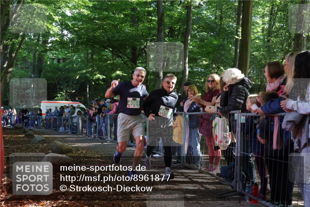 28.09.2025 - 33. Volkslauf durch das schöne Alstertal Strokosch-Dieckow http://msf.ph/oto/8961877 28.09.2025 10:56:49 Ziel 4023, 4048, 4065, 4069 meine-sportfotos.de