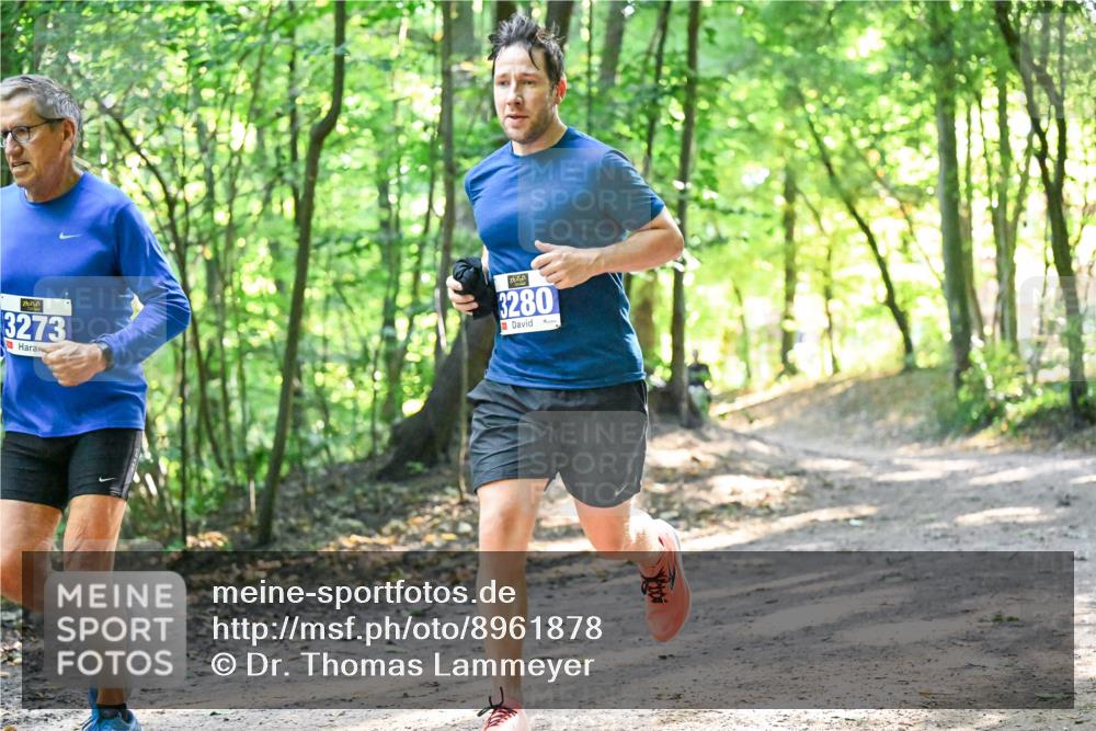 28.09.2025 - 33. Volkslauf durch das schöne Alstertal Dr. Thomas Lammeyer http://msf.ph/oto/8961878 28.09.2025 11:08:48 Laufen 3273, 3280 meine-sportfotos.de