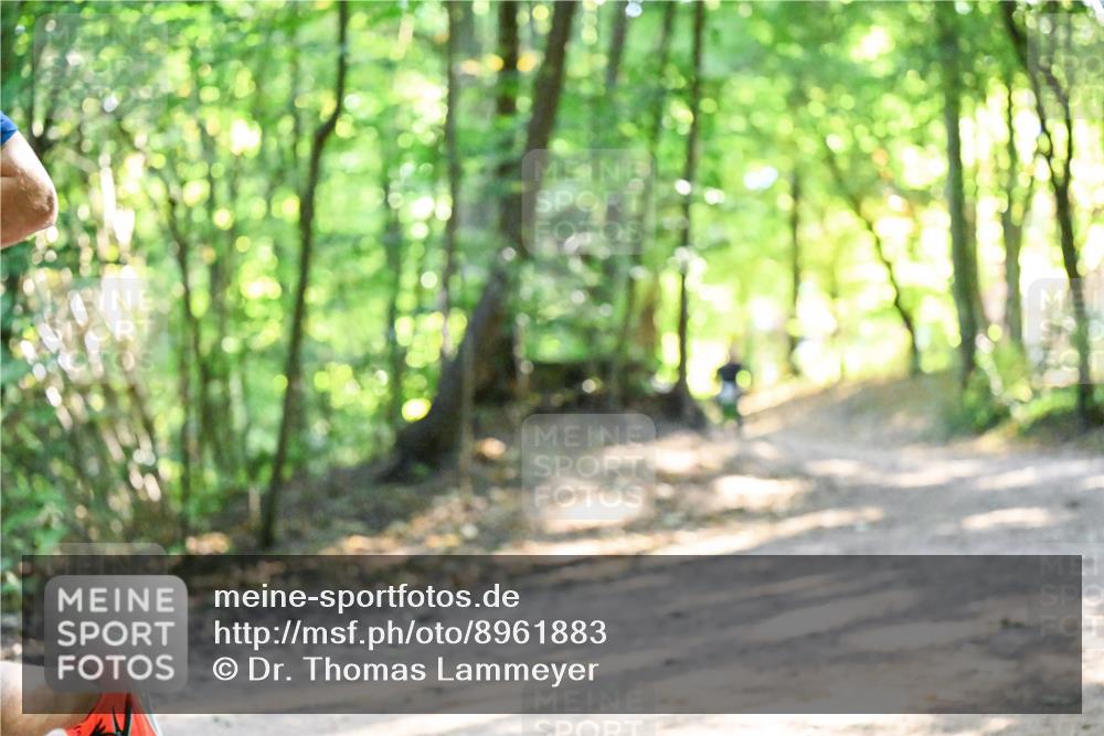 28.09.2025 - 33. Volkslauf durch das schöne Alstertal Dr. Thomas Lammeyer http://msf.ph/oto/8961883 28.09.2025 11:08:49 Laufen  meine-sportfotos.de