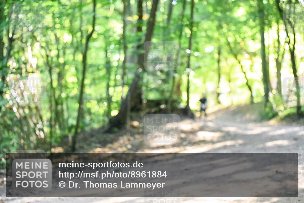 28.09.2025 - 33. Volkslauf durch das schöne Alstertal Dr. Thomas Lammeyer http://msf.ph/oto/8961884 28.09.2025 11:08:49 Laufen  meine-sportfotos.de