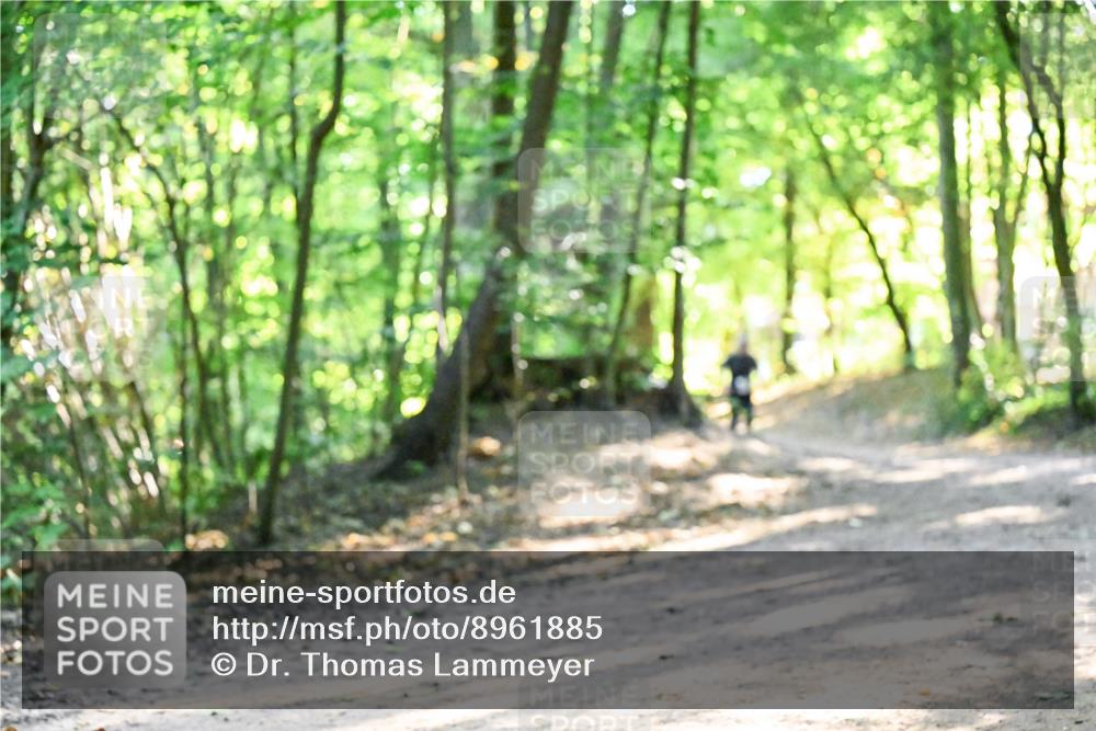 28.09.2025 - 33. Volkslauf durch das schöne Alstertal Dr. Thomas Lammeyer http://msf.ph/oto/8961885 28.09.2025 11:08:49 Laufen  meine-sportfotos.de