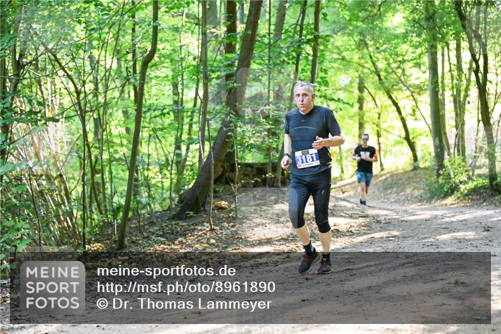 28.09.2025 - 33. Volkslauf durch das schöne Alstertal Dr. Thomas Lammeyer http://msf.ph/oto/8961890 28.09.2025 11:08:56 Laufen 3181 meine-sportfotos.de