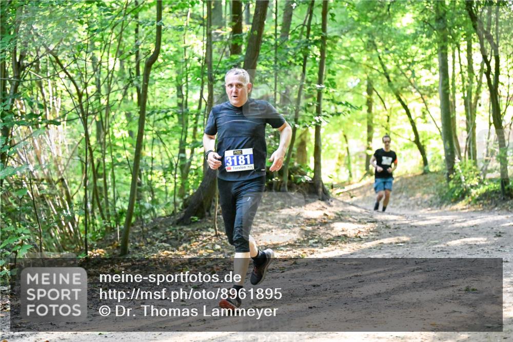 28.09.2025 - 33. Volkslauf durch das schöne Alstertal Dr. Thomas Lammeyer http://msf.ph/oto/8961895 28.09.2025 11:08:57 Laufen 3181 meine-sportfotos.de