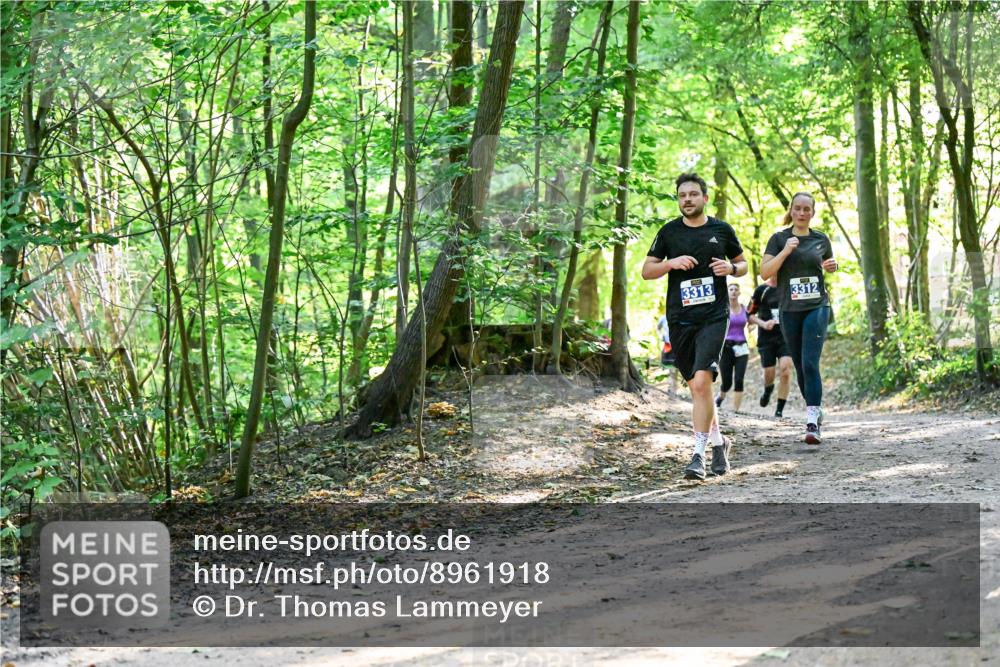 28.09.2025 - 33. Volkslauf durch das schöne Alstertal Dr. Thomas Lammeyer http://msf.ph/oto/8961918 28.09.2025 11:09:09 Laufen 3313, 3312 meine-sportfotos.de