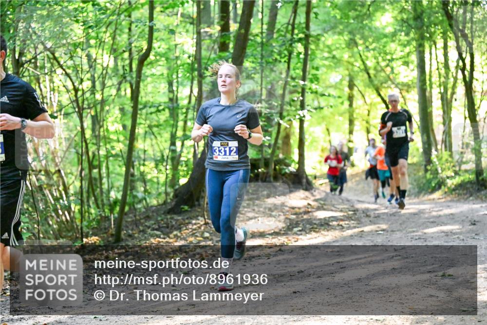 28.09.2025 - 33. Volkslauf durch das schöne Alstertal Dr. Thomas Lammeyer http://msf.ph/oto/8961936 28.09.2025 11:09:11 Laufen 3312 meine-sportfotos.de