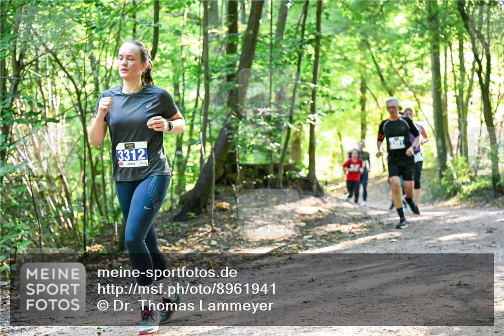 28.09.2025 - 33. Volkslauf durch das schöne Alstertal Dr. Thomas Lammeyer http://msf.ph/oto/8961941 28.09.2025 11:09:12 Laufen 3312 meine-sportfotos.de