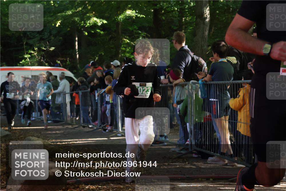 28.09.2025 - 33. Volkslauf durch das schöne Alstertal Strokosch-Dieckow http://msf.ph/oto/8961944 28.09.2025 10:56:58 Ziel 4023, 4048, 4055, 4186, 4187 meine-sportfotos.de