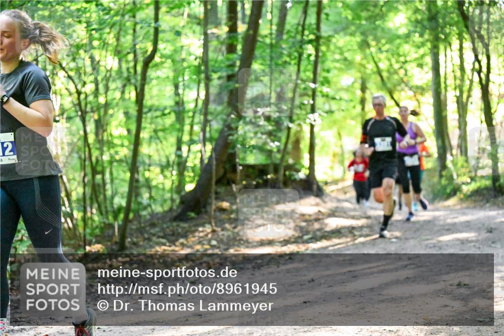 28.09.2025 - 33. Volkslauf durch das schöne Alstertal Dr. Thomas Lammeyer http://msf.ph/oto/8961945 28.09.2025 11:09:12 Laufen 12 meine-sportfotos.de