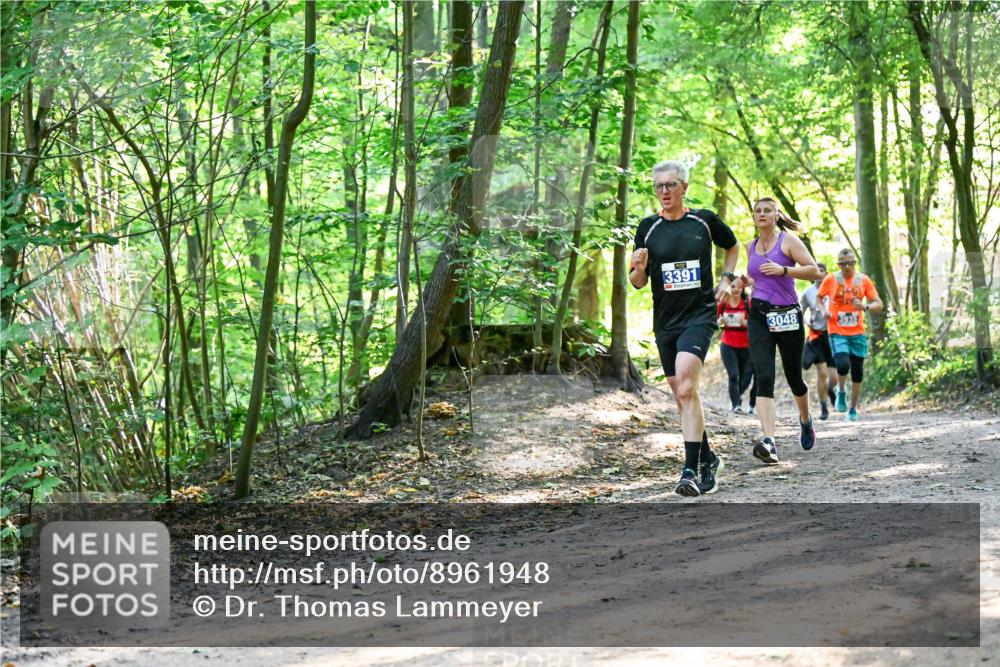 28.09.2025 - 33. Volkslauf durch das schöne Alstertal Dr. Thomas Lammeyer http://msf.ph/oto/8961948 28.09.2025 11:09:13 Laufen 3391, 3048, 393, 1 meine-sportfotos.de