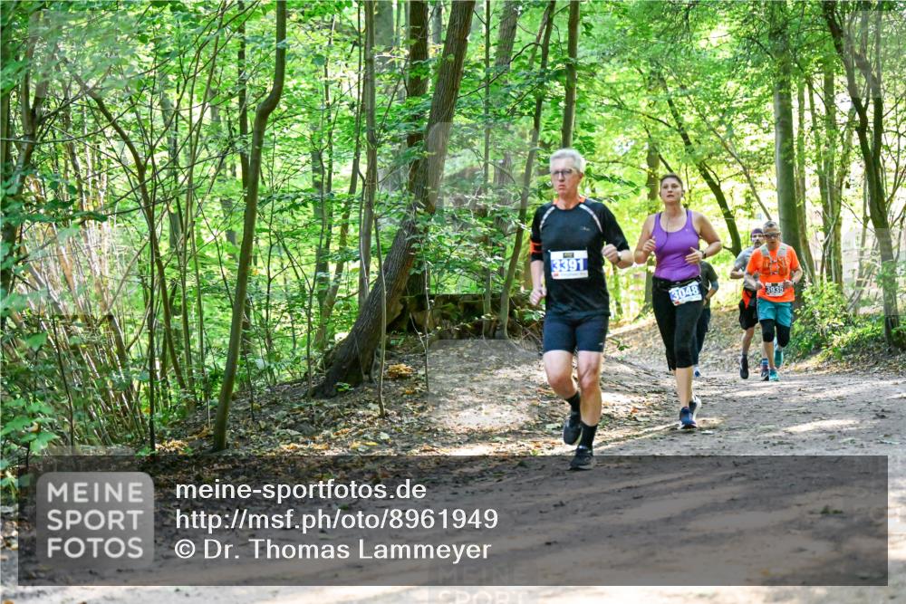 28.09.2025 - 33. Volkslauf durch das schöne Alstertal Dr. Thomas Lammeyer http://msf.ph/oto/8961949 28.09.2025 11:09:13 Laufen 3391, 3048, 3935 meine-sportfotos.de