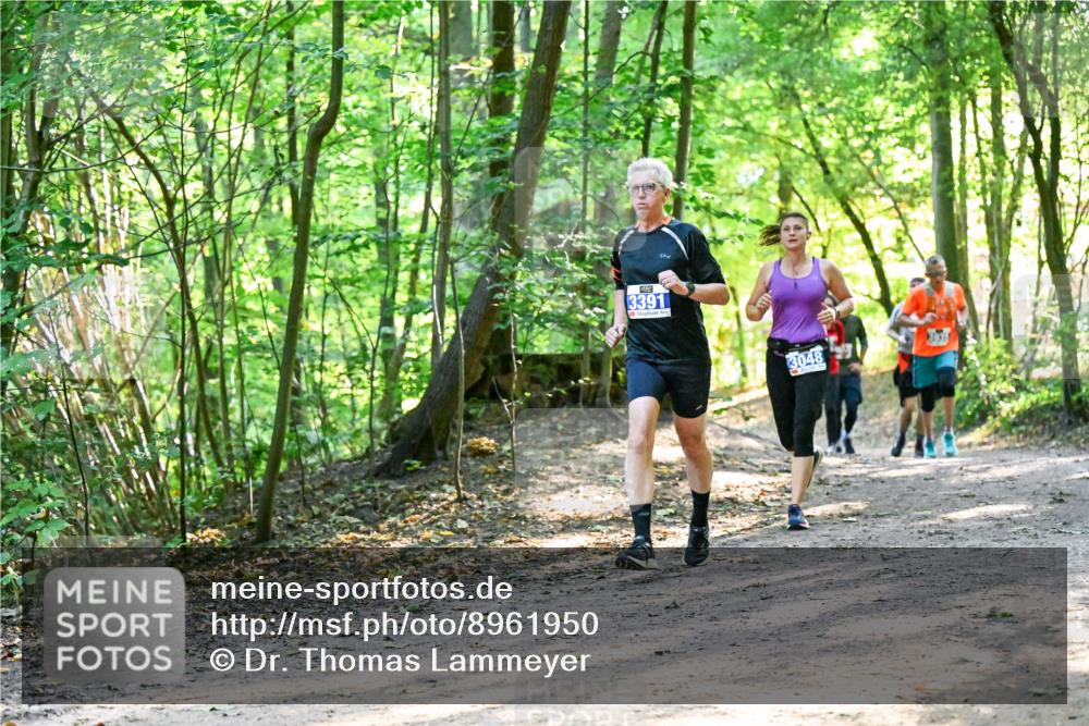 28.09.2025 - 33. Volkslauf durch das schöne Alstertal Dr. Thomas Lammeyer http://msf.ph/oto/8961950 28.09.2025 11:09:13 Laufen 3391, 3048 meine-sportfotos.de