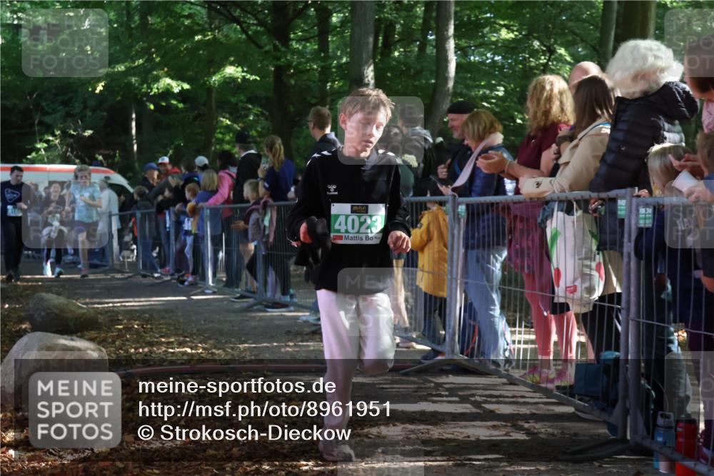 28.09.2025 - 33. Volkslauf durch das schöne Alstertal Strokosch-Dieckow http://msf.ph/oto/8961951 28.09.2025 10:56:58 Ziel 4023, 4048, 4055, 4186, 4187 meine-sportfotos.de