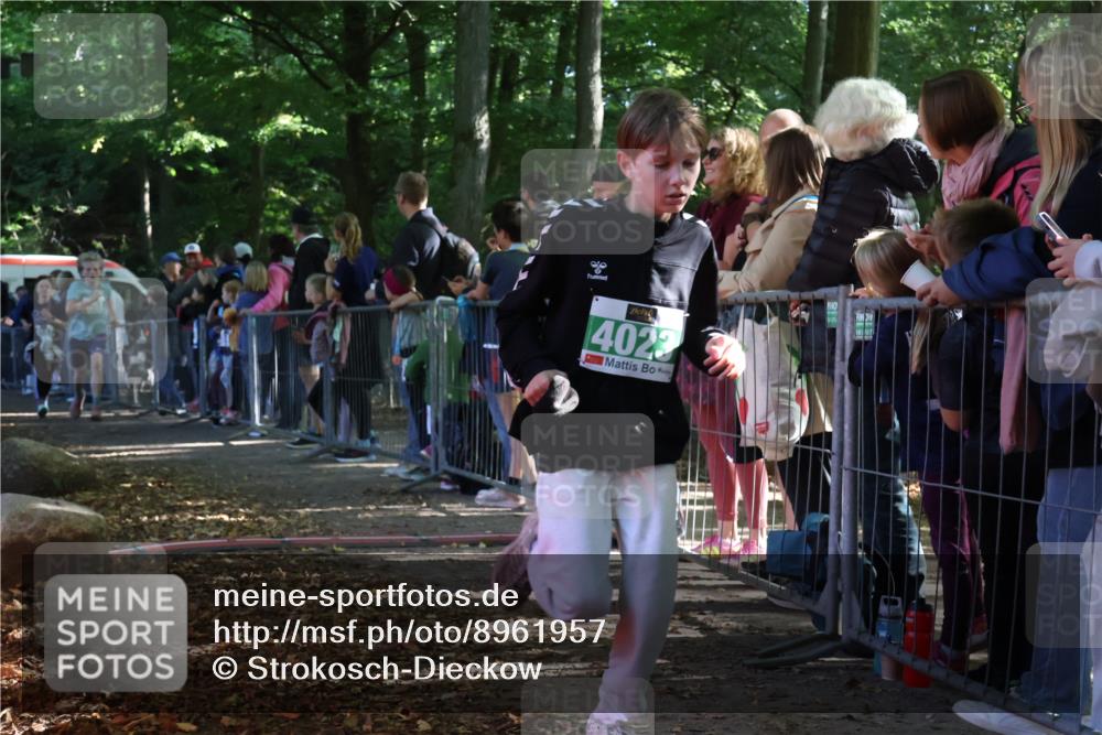 28.09.2025 - 33. Volkslauf durch das schöne Alstertal Strokosch-Dieckow http://msf.ph/oto/8961957 28.09.2025 10:56:59 Ziel 4023, 4055, 4186, 4187 meine-sportfotos.de