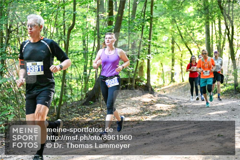 28.09.2025 - 33. Volkslauf durch das schöne Alstertal Dr. Thomas Lammeyer http://msf.ph/oto/8961960 28.09.2025 11:09:15 Laufen 3391, 3048, 3935 meine-sportfotos.de