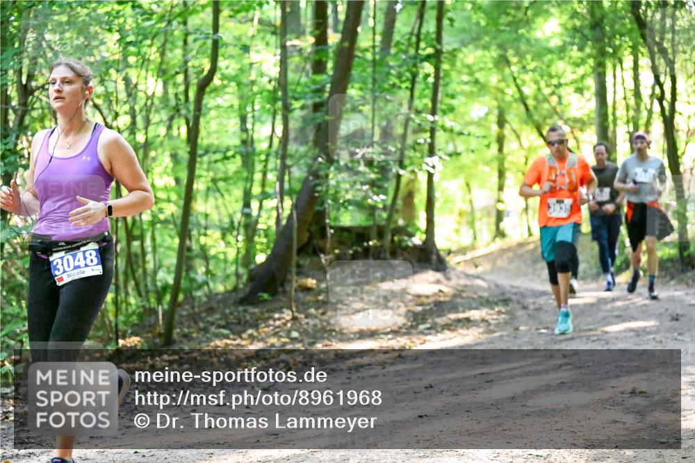 28.09.2025 - 33. Volkslauf durch das schöne Alstertal Dr. Thomas Lammeyer http://msf.ph/oto/8961968 28.09.2025 11:09:16 Laufen 3048 meine-sportfotos.de