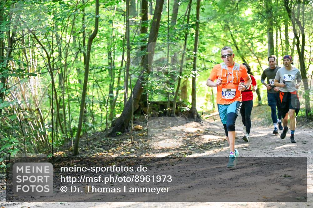 28.09.2025 - 33. Volkslauf durch das schöne Alstertal Dr. Thomas Lammeyer http://msf.ph/oto/8961973 28.09.2025 11:09:16 Laufen 3935, 3946 meine-sportfotos.de