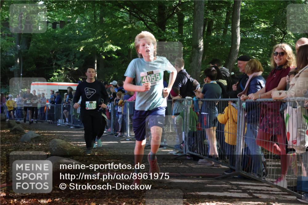 28.09.2025 - 33. Volkslauf durch das schöne Alstertal Strokosch-Dieckow http://msf.ph/oto/8961975 28.09.2025 10:57:02 Ziel 4044, 4045, 4055, 4060, 4186, 4187 meine-sportfotos.de