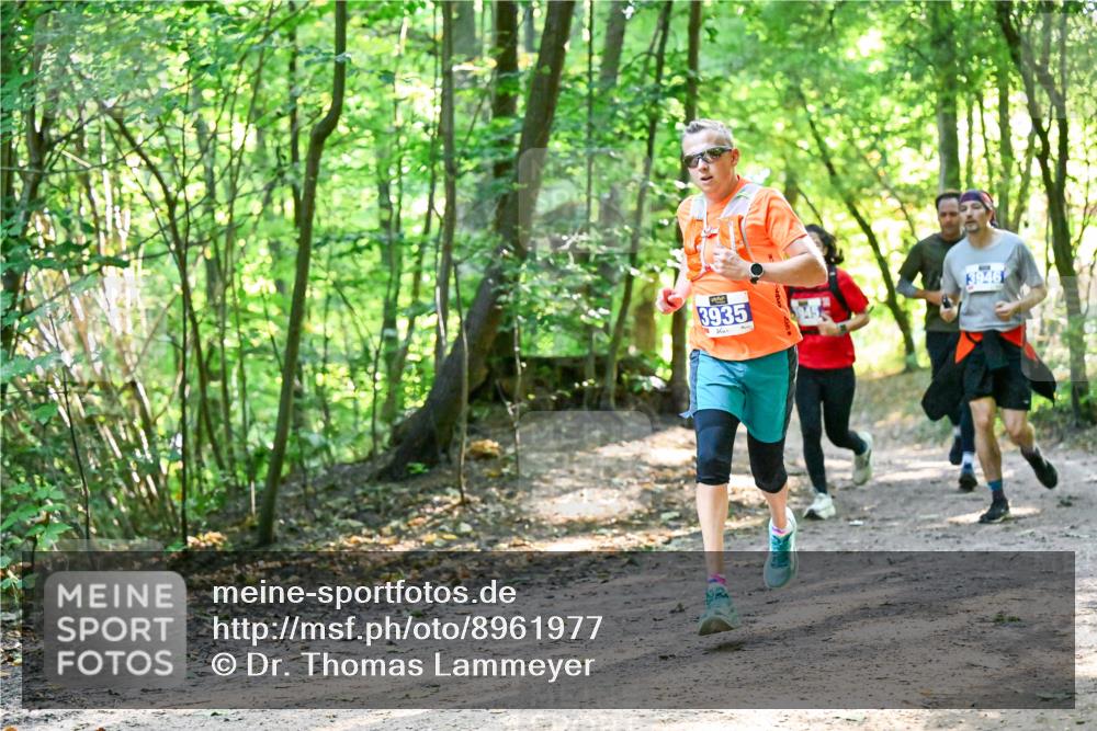 28.09.2025 - 33. Volkslauf durch das schöne Alstertal Dr. Thomas Lammeyer http://msf.ph/oto/8961977 28.09.2025 11:09:17 Laufen 3935, 946 meine-sportfotos.de