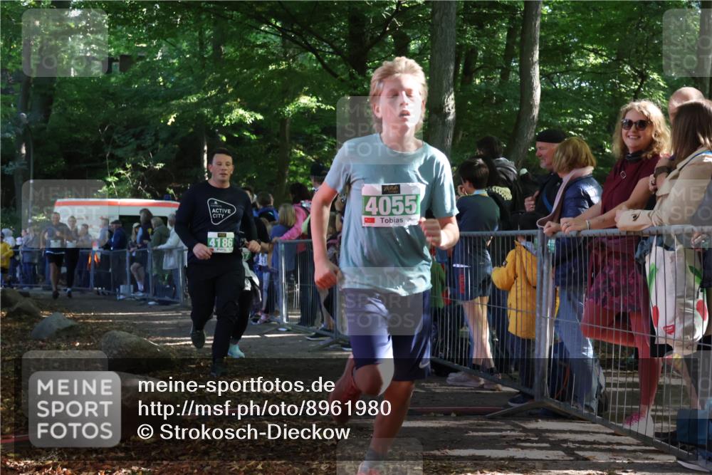 28.09.2025 - 33. Volkslauf durch das schöne Alstertal Strokosch-Dieckow http://msf.ph/oto/8961980 28.09.2025 10:57:02 Ziel 4044, 4045, 4055, 4060, 4186, 4187 meine-sportfotos.de