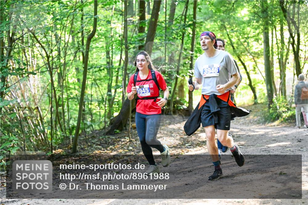 28.09.2025 - 33. Volkslauf durch das schöne Alstertal Dr. Thomas Lammeyer http://msf.ph/oto/8961988 28.09.2025 11:09:18 Laufen 3945, 15, 3946 meine-sportfotos.de