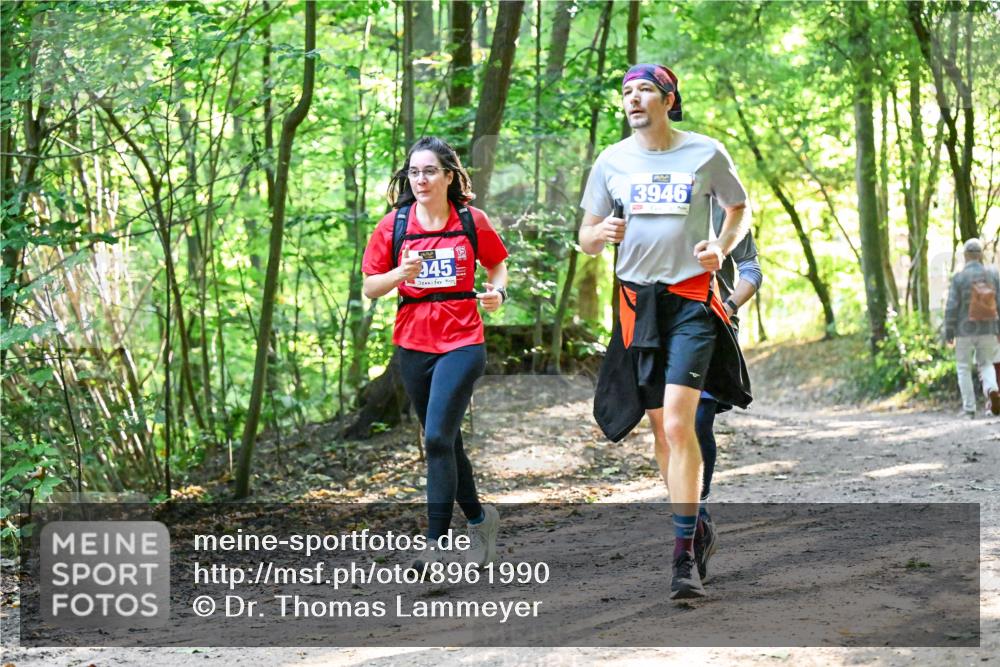 28.09.2025 - 33. Volkslauf durch das schöne Alstertal Dr. Thomas Lammeyer http://msf.ph/oto/8961990 28.09.2025 11:09:18 Laufen 945, 3946 meine-sportfotos.de