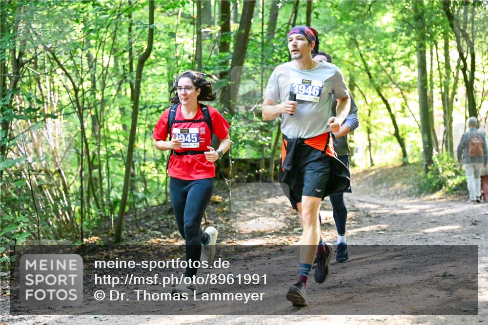 28.09.2025 - 33. Volkslauf durch das schöne Alstertal Dr. Thomas Lammeyer http://msf.ph/oto/8961991 28.09.2025 11:09:19 Laufen 945, 3946 meine-sportfotos.de