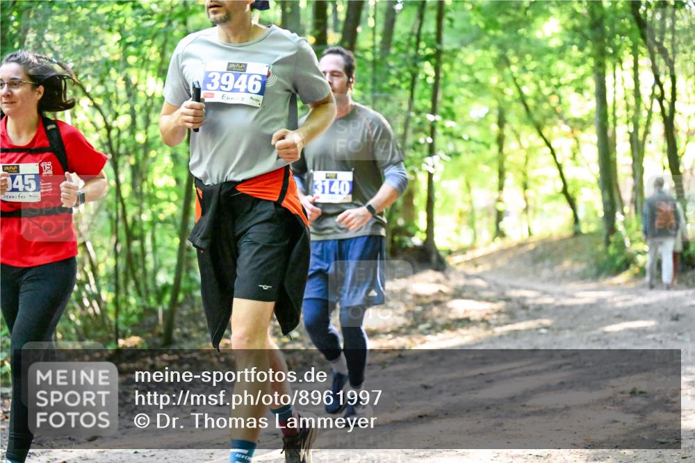 28.09.2025 - 33. Volkslauf durch das schöne Alstertal Dr. Thomas Lammeyer http://msf.ph/oto/8961997 28.09.2025 11:09:19 Laufen 345, 15, 3946, 3140 meine-sportfotos.de
