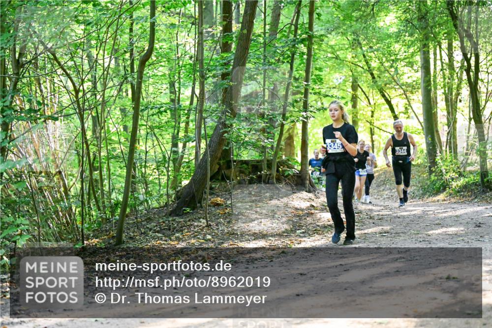 28.09.2025 - 33. Volkslauf durch das schöne Alstertal Dr. Thomas Lammeyer http://msf.ph/oto/8962019 28.09.2025 11:09:32 Laufen 3345, 2321, 3344 meine-sportfotos.de