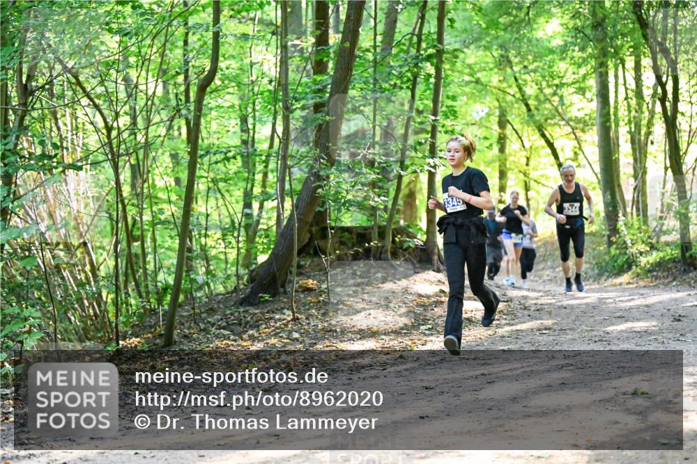 28.09.2025 - 33. Volkslauf durch das schöne Alstertal Dr. Thomas Lammeyer http://msf.ph/oto/8962020 28.09.2025 11:09:32 Laufen 3345, 3344 meine-sportfotos.de