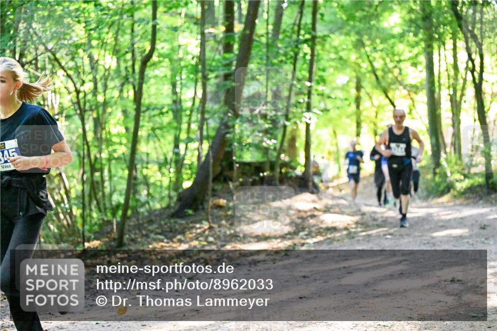 28.09.2025 - 33. Volkslauf durch das schöne Alstertal Dr. Thomas Lammeyer http://msf.ph/oto/8962033 28.09.2025 11:09:34 Laufen 345 meine-sportfotos.de