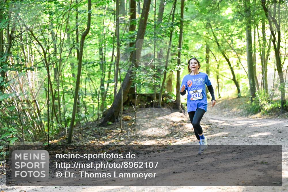 28.09.2025 - 33. Volkslauf durch das schöne Alstertal Dr. Thomas Lammeyer http://msf.ph/oto/8962107 28.09.2025 11:09:53 Laufen 3275 meine-sportfotos.de