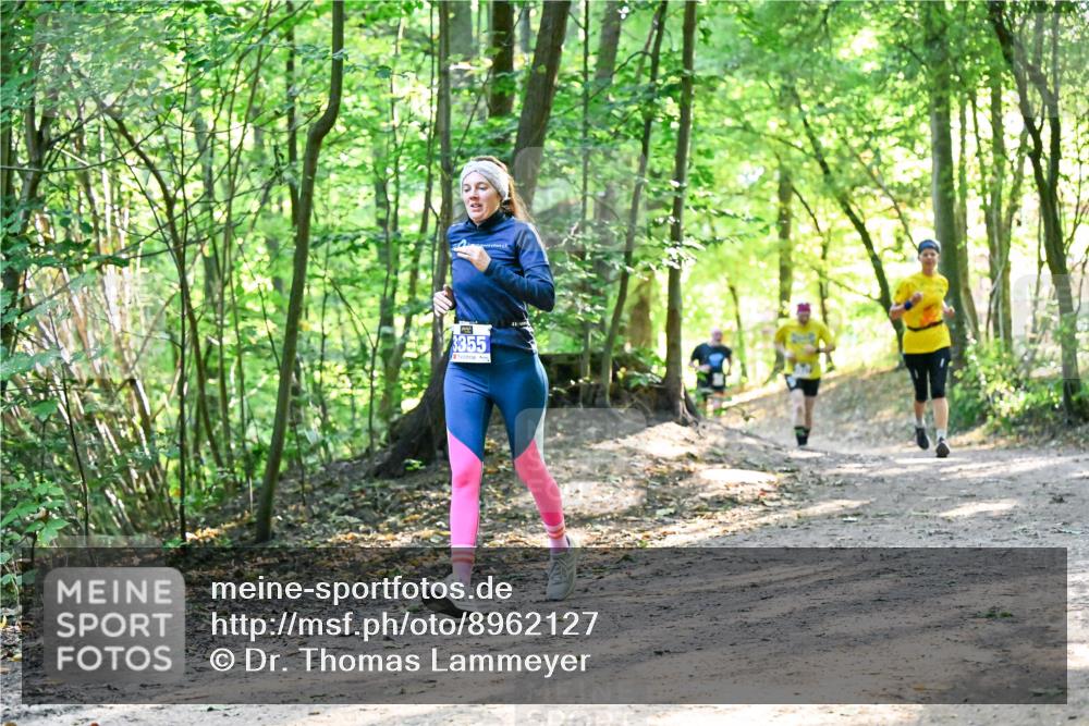 28.09.2025 - 33. Volkslauf durch das schöne Alstertal Dr. Thomas Lammeyer http://msf.ph/oto/8962127 28.09.2025 11:10:06 Laufen 3355 meine-sportfotos.de