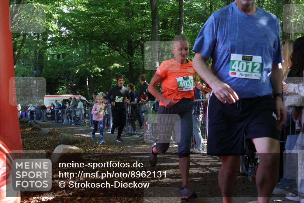 28.09.2025 - 33. Volkslauf durch das schöne Alstertal Strokosch-Dieckow http://msf.ph/oto/8962131 28.09.2025 10:57:14 Ziel 4032, 4130, 4160 meine-sportfotos.de