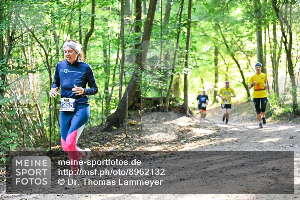 28.09.2025 - 33. Volkslauf durch das schöne Alstertal Dr. Thomas Lammeyer http://msf.ph/oto/8962132 28.09.2025 11:10:07 Laufen 3355 meine-sportfotos.de