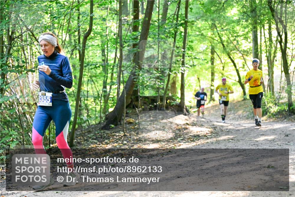 28.09.2025 - 33. Volkslauf durch das schöne Alstertal Dr. Thomas Lammeyer http://msf.ph/oto/8962133 28.09.2025 11:10:07 Laufen 355 meine-sportfotos.de