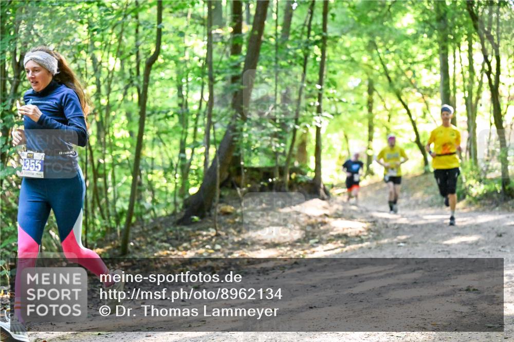 28.09.2025 - 33. Volkslauf durch das schöne Alstertal Dr. Thomas Lammeyer http://msf.ph/oto/8962134 28.09.2025 11:10:07 Laufen 355 meine-sportfotos.de