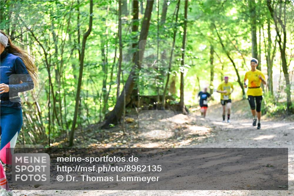 28.09.2025 - 33. Volkslauf durch das schöne Alstertal Dr. Thomas Lammeyer http://msf.ph/oto/8962135 28.09.2025 11:10:07 Laufen  meine-sportfotos.de