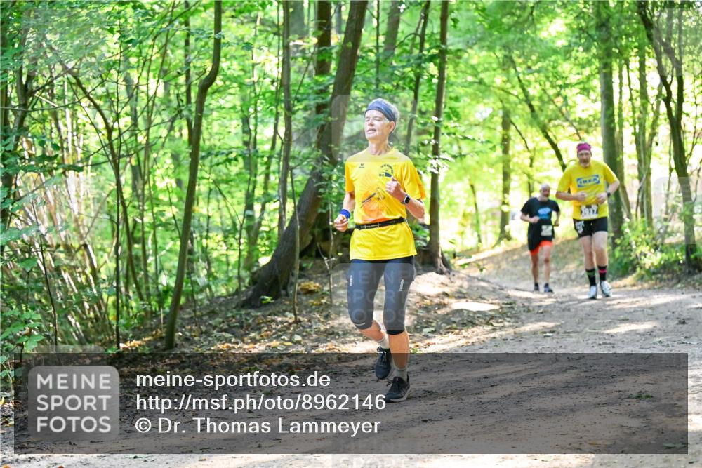 28.09.2025 - 33. Volkslauf durch das schöne Alstertal Dr. Thomas Lammeyer http://msf.ph/oto/8962146 28.09.2025 11:10:09 Laufen  meine-sportfotos.de