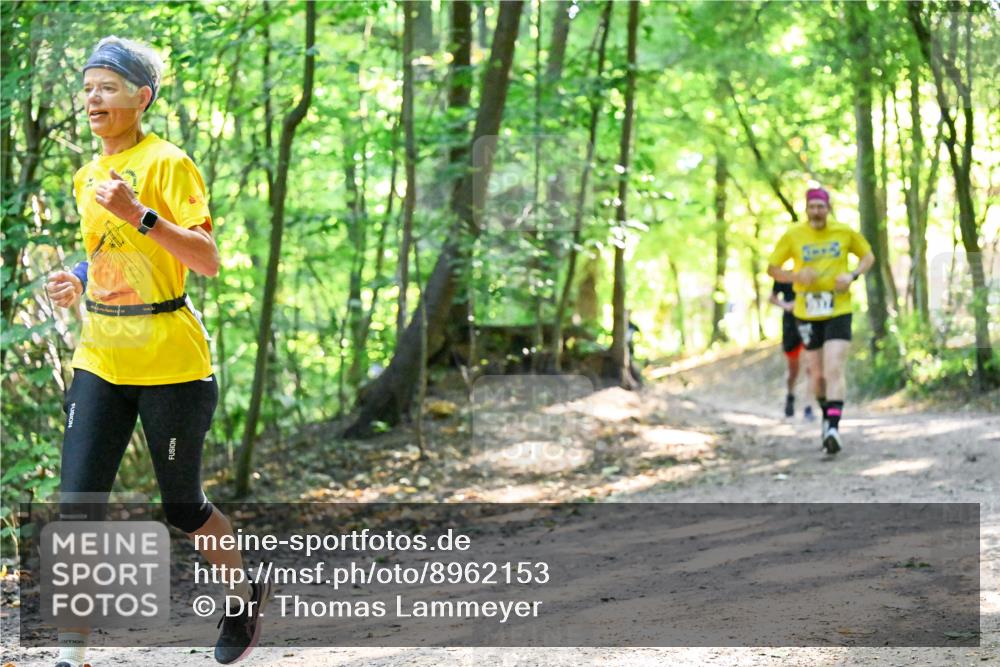 28.09.2025 - 33. Volkslauf durch das schöne Alstertal Dr. Thomas Lammeyer http://msf.ph/oto/8962153 28.09.2025 11:10:10 Laufen  meine-sportfotos.de