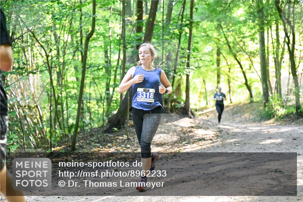 28.09.2025 - 33. Volkslauf durch das schöne Alstertal Dr. Thomas Lammeyer http://msf.ph/oto/8962233 28.09.2025 11:10:28 Laufen 3318 meine-sportfotos.de
